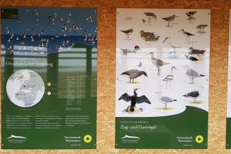 Vogelbeobachtungsstation Infotafel