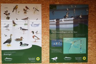 Vogelbeobachtungsstation Infotafel