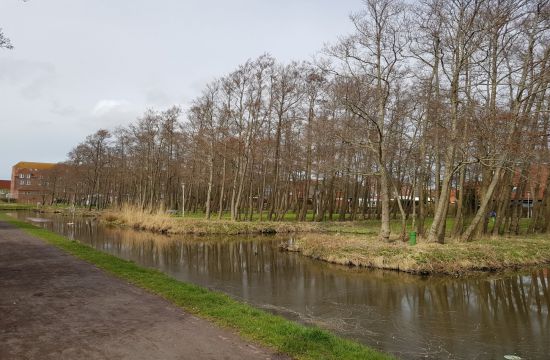 Seekurgarten Norddeich