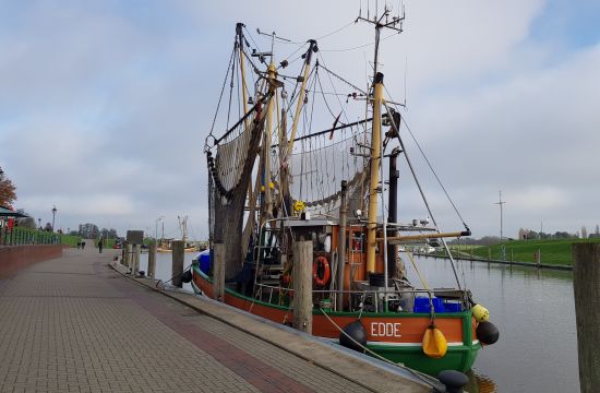 Krabbenkutter in Greetsiel