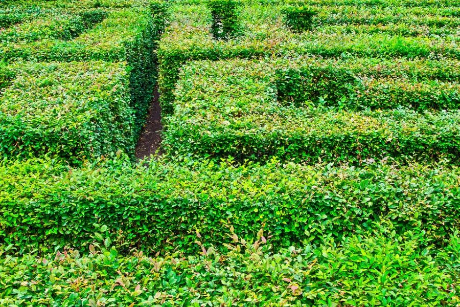 Irrgarten im Wellenpark Norddeich