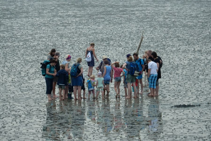 Wattwanderung in der Nordsee in Norddeich