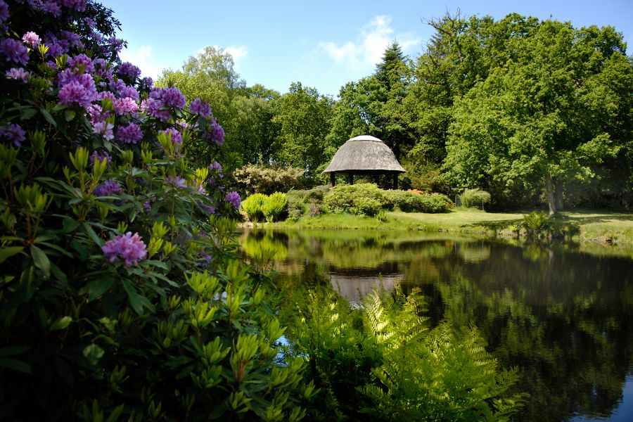 Schlosspark Lütestburg