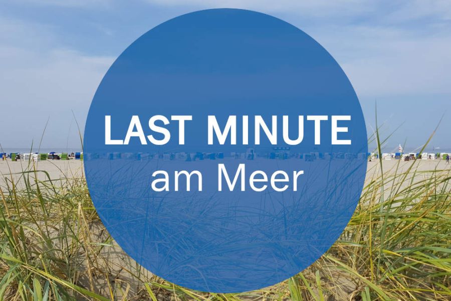 Last Minute Kleine Deichkrabbe